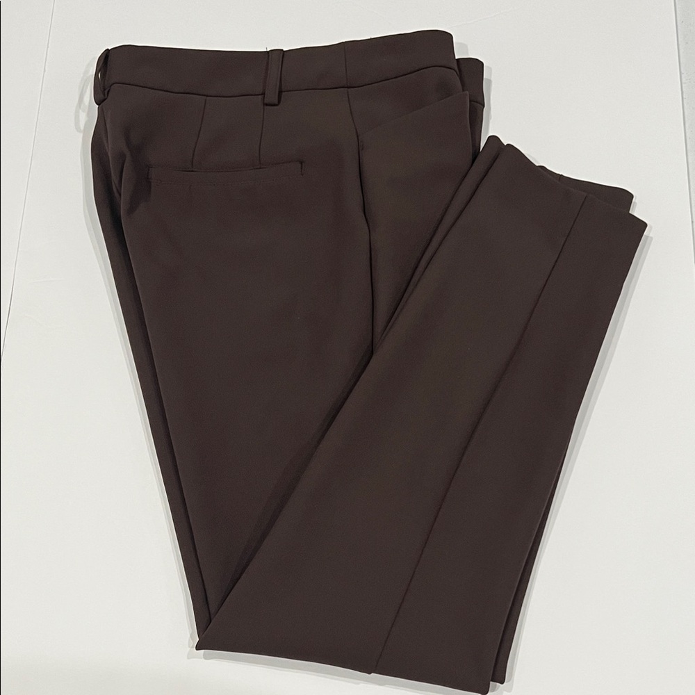 Express Dress Pants